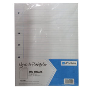 HOJAS PARA PORTAFOLIO D NOTAS PKx100