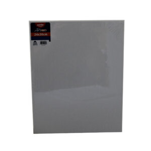 LIENZO BLANCO POINTER 24X30CM