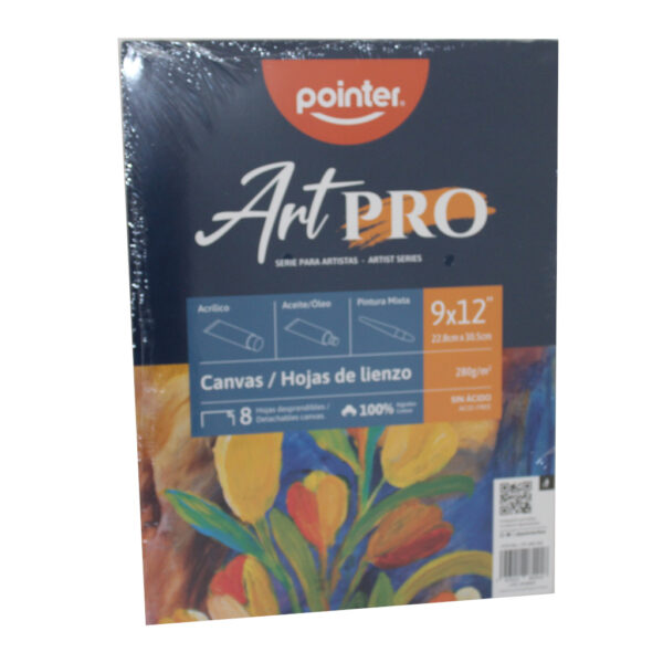 CANVA PARA MANUALIDADES POINTER 9X12PULG