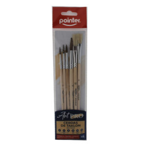 SET DE PINCELES POINTER X 6 PZAS 2,4,6,8,10,12