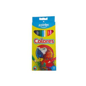 LAPIZ POINTER CAJA 12 COLORES