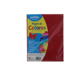 PAPEL COLORES POINTER CARTA PAQ 100H 75G