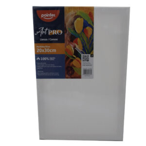 LIENZO BLANCO POINTER 20X30CM