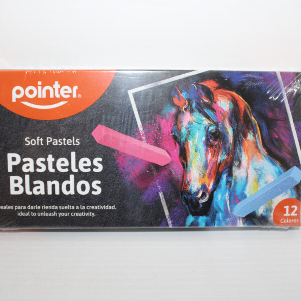 TIZA PASTEL SECO POINTER 12 COLORES