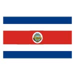 BANDERA PEQUEÑA CON ESCUDO (UND)