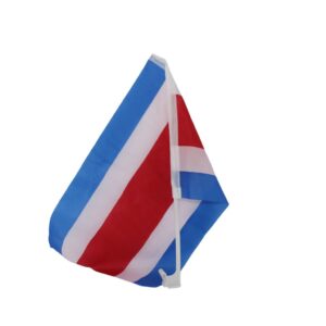 BANDERA P/VENT.CARRO 30X45 (UND)