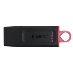 MEMORIA USB 256GB KINGSTON DATA TRAVELER EXODIA USB-A 3.2 GEN 1 DTX/256GB NEGRO / ROSADO